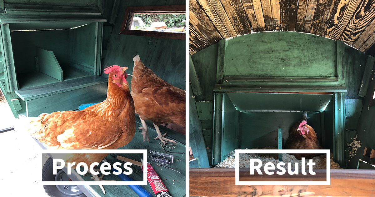 I ve Built This DIY Chicken Coop Out Of UpCycled Items During