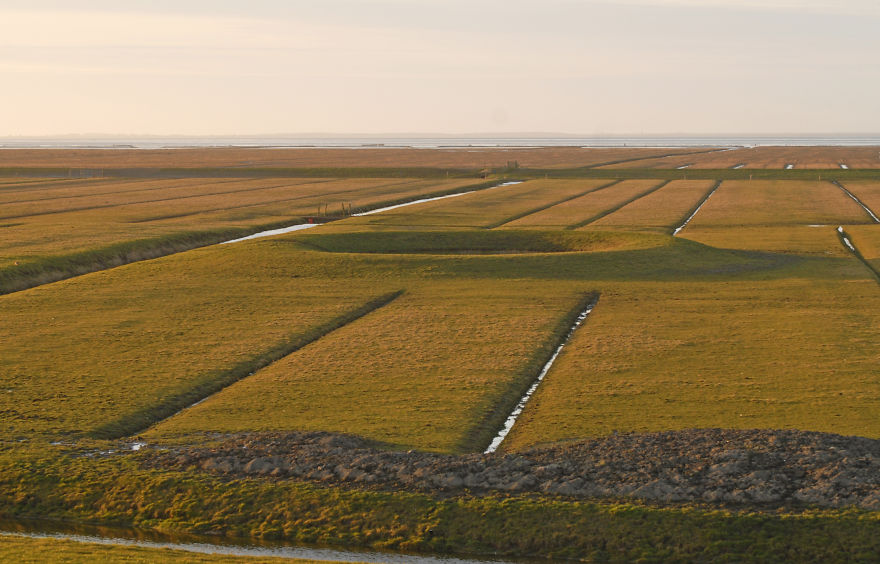 I’ve Been Photographing Storms During Dutch Tides For 7 Years, Here Are My 28 Pics To Capture Their Effect On Local Wildlife I’ve Been Photographing Storms During Dutch Tides For 7 Years, Here Are My 28 Pics To Capture Their Effect On Local Wildlife