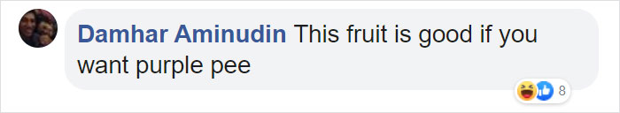 Dogs Observe Fruit Being Harvested, But The Fruit's Calling Is Too Strong (9 Pics)