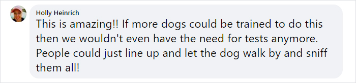 Turns Out, Helsinki Airport Uses Dogs To Sniff Out Coronavirus And It's Faster Than Lab Testing Turns Out, Helsinki Airport Uses Dogs To Sniff Out Coronavirus And It's Faster Than Lab Testing