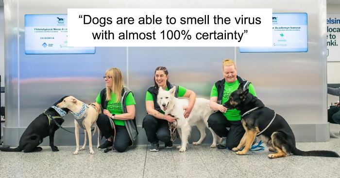 Turns Out, Helsinki Airport Uses Dogs To Sniff Out Coronavirus And It’s Faster Than Lab Testing