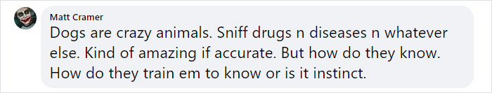 Turns Out, Helsinki Airport Uses Dogs To Sniff Out Coronavirus And It's Faster Than Lab Testing