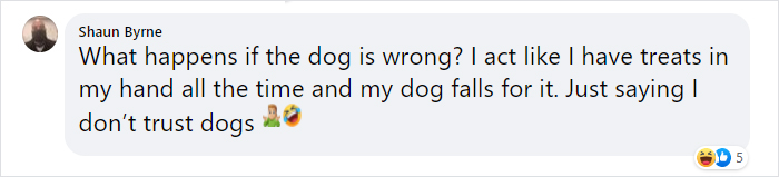 Turns Out, Helsinki Airport Uses Dogs To Sniff Out Coronavirus And It's Faster Than Lab Testing Turns Out, Helsinki Airport Uses Dogs To Sniff Out Coronavirus And It's Faster Than Lab Testing