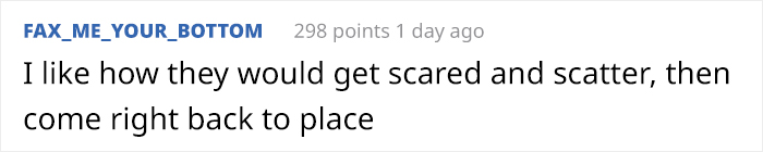 This Person Forces Birds To Gather In Specific Locations To Create An Image By Simply Feeding Them This Person Forces Birds To Gather In Specific Locations To Create An Image By Simply Feeding Them