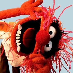 redrockinlobster avatar