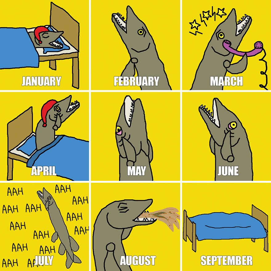 Whingey Pike's Year So Far. To Be Fair, No Year Is A Good Year For Him