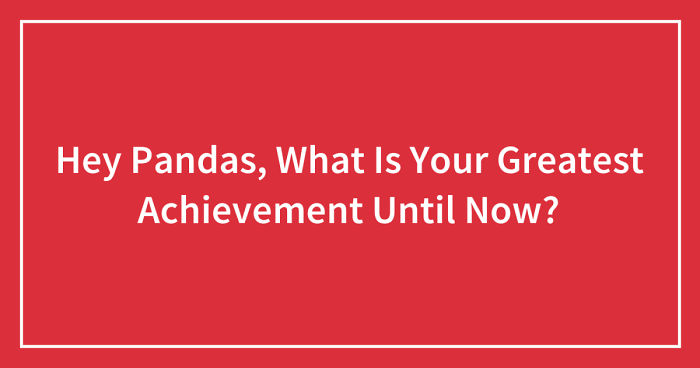 Hey Pandas, What Is Your Greatest Achievement Until Now? (Ended)