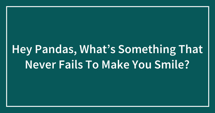 Hey Pandas, What’s Something That Never Fails To Make You Smile? (Ended)