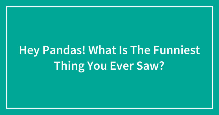 Hey Pandas! What Is The Funniest Thing You Have Ever Seen? (Closed)