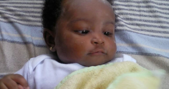 Pandas, What Did You Look Like As A Baby?