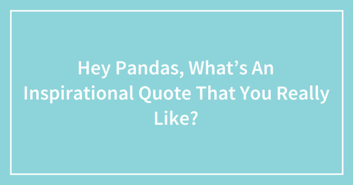 Hey Pandas, What’s An Inspirational Quote That You Really Like? (Ended)