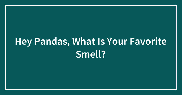 Hey Pandas, What Is Your Favorite Smell? (Closed)