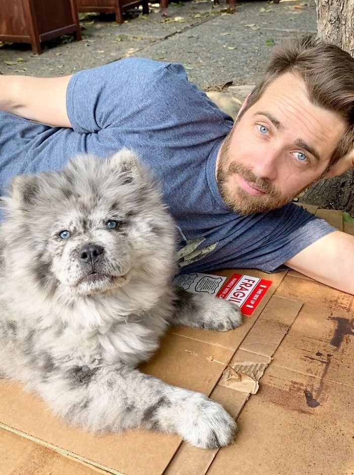 Fluffy-Dog-Oreo-Cloud-Chief