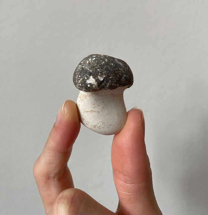 Forbidden Mushroom