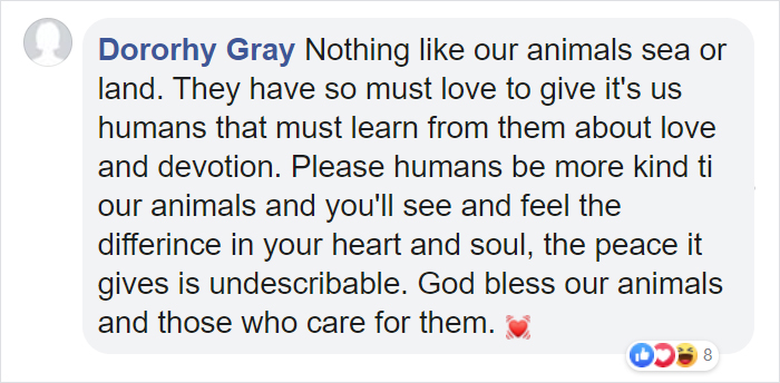 Sammy The Seal Is So Outgoing, He's Making Human Friends At The Beach