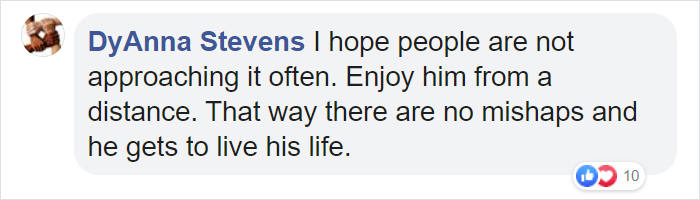 Sammy The Seal Is So Outgoing, He's Making Human Friends At The Beach