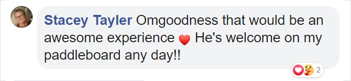 Sammy The Seal Is So Outgoing, He's Making Human Friends At The Beach Sammy The Seal Is So Outgoing, He's Making Human Friends At The Beach