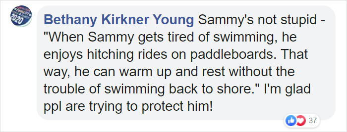 Sammy The Seal Is So Outgoing, He's Making Human Friends At The Beach Sammy The Seal Is So Outgoing, He's Making Human Friends At The Beach