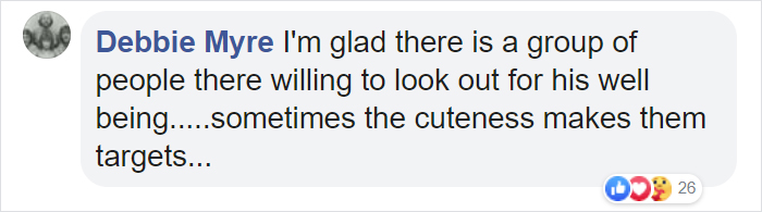 Sammy The Seal Is So Outgoing, He's Making Human Friends At The Beach Sammy The Seal Is So Outgoing, He's Making Human Friends At The Beach