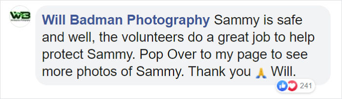 Sammy The Seal Is So Outgoing, He's Making Human Friends At The Beach Sammy The Seal Is So Outgoing, He's Making Human Friends At The Beach