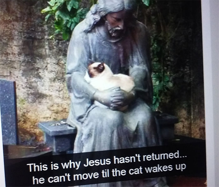 Hey Pandas! What Is The Funniest Thing You Have Ever Seen? (Closed)