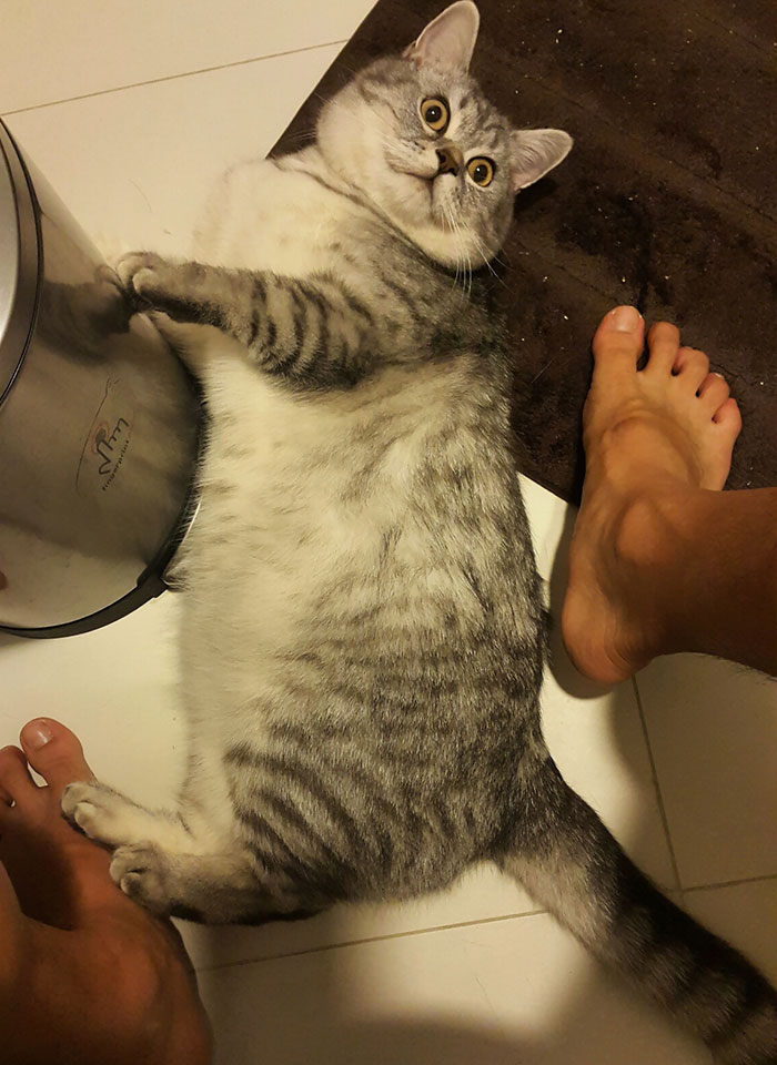 Everytime: "Oh Good You're On The Toilet. Now Rub Me"