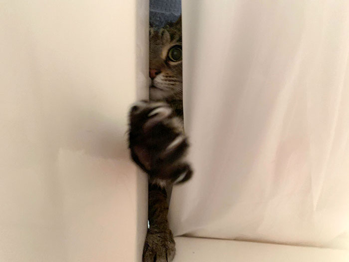 Taking A Peaceful Bath Is Hard When This Little Girl Is Flexing Her Claws