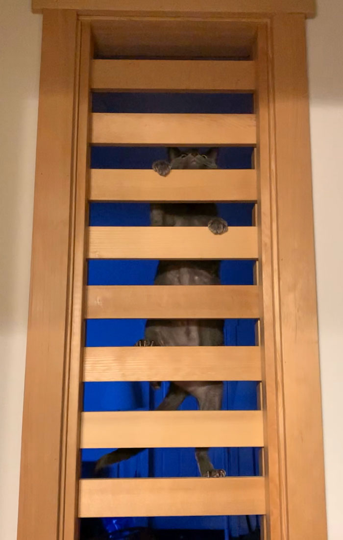 I Walked Out Of The Bathroom And