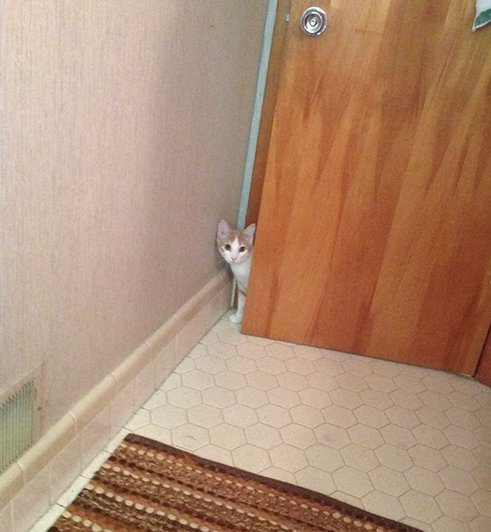 I Haven't Pooped Alone At Home In Almost One Year