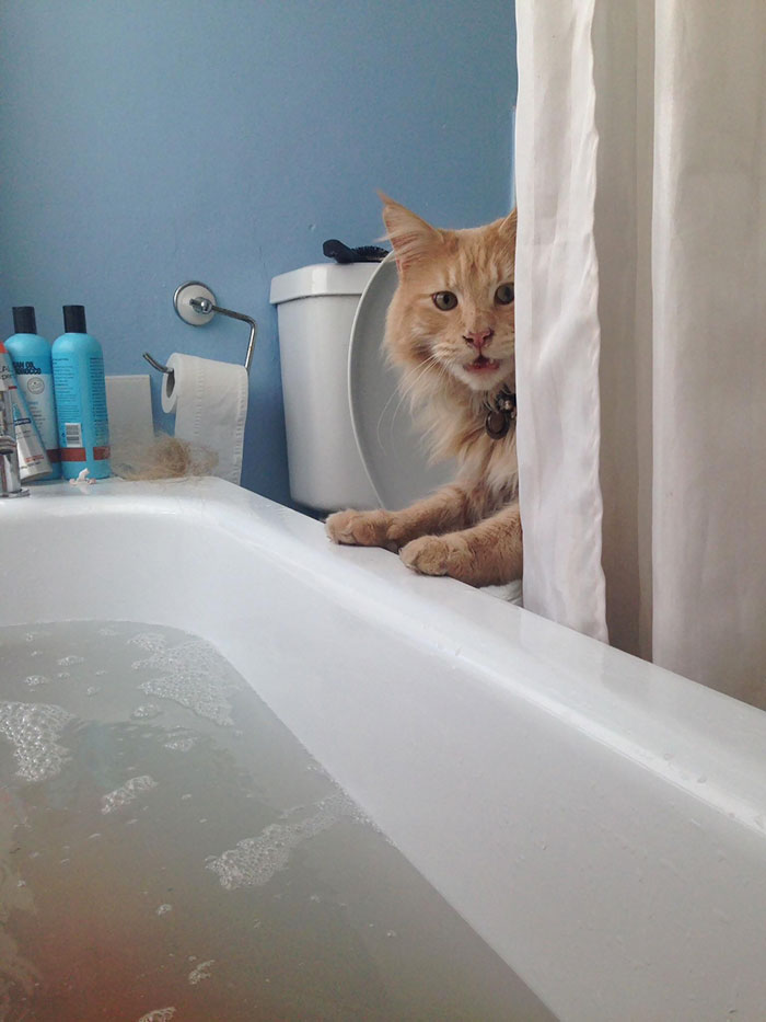 My Housemate Never Gives Me Any Privacy