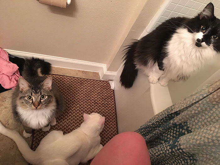 Always Gotta Have The Rescue Squad In Case I Fall Into The Toilet