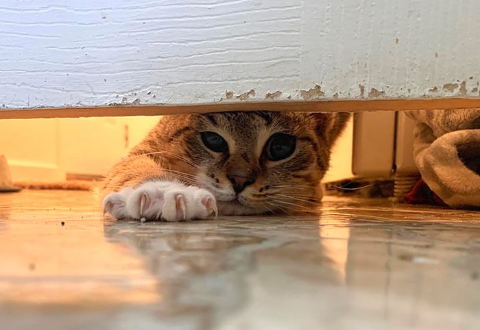 If You Won’t Leave The Bathroom, I’ll Drag You Out