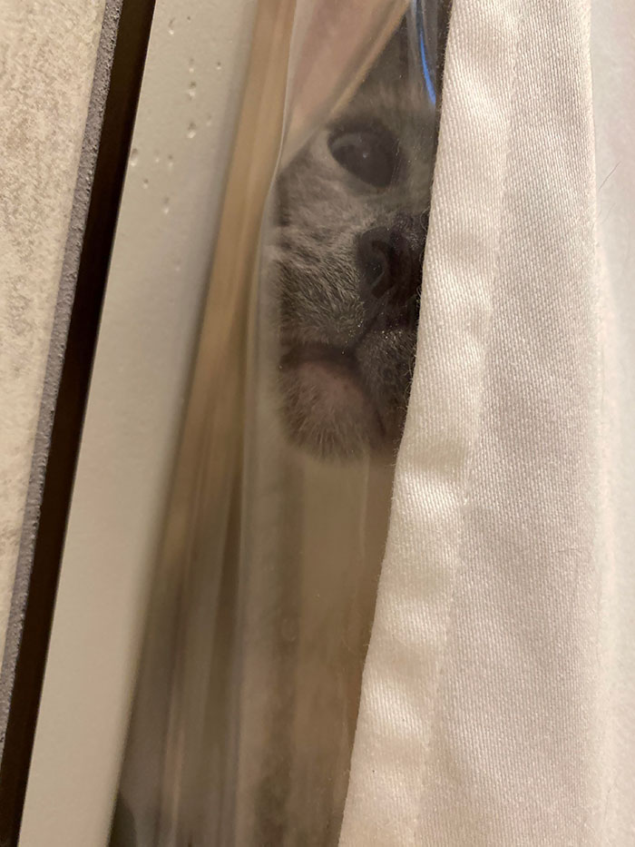 Not Even Allowed To Take A Bath Without This Creep Screaming At Me And Doing Weird Stuff