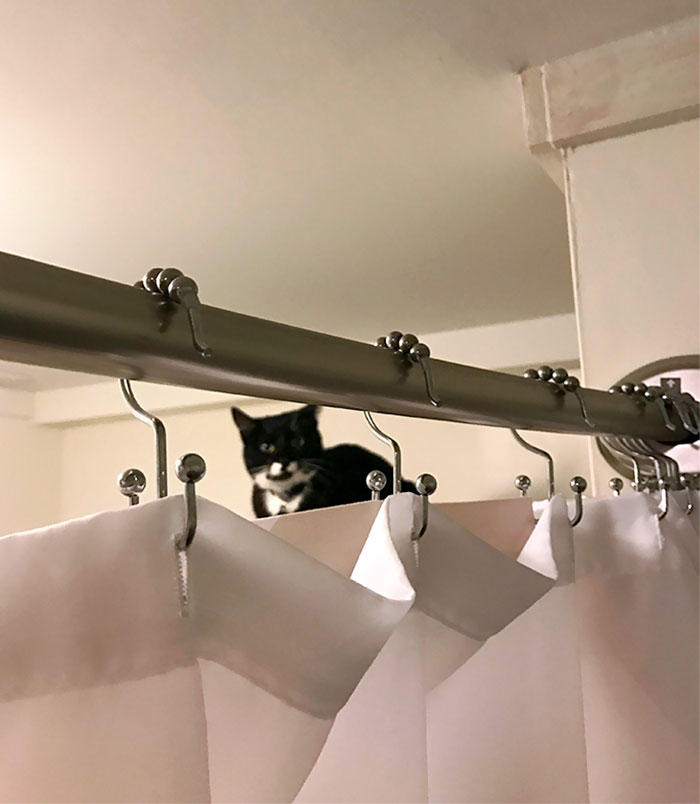 There Is No Privacy Here