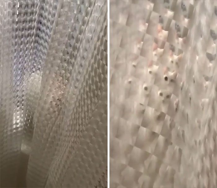 Getting Ready To Take A Shower. Anyone Else See What I’m Seeing?