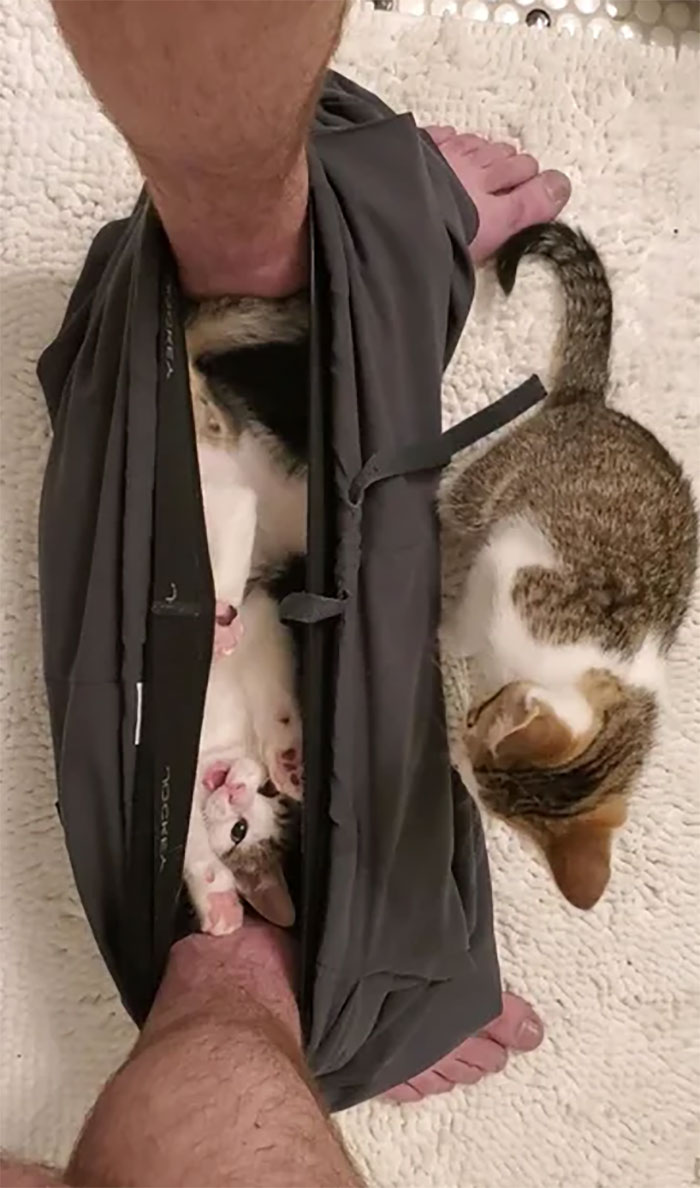 Every Time I Poop, They Fight Over Who Gets To Sit In My Pants