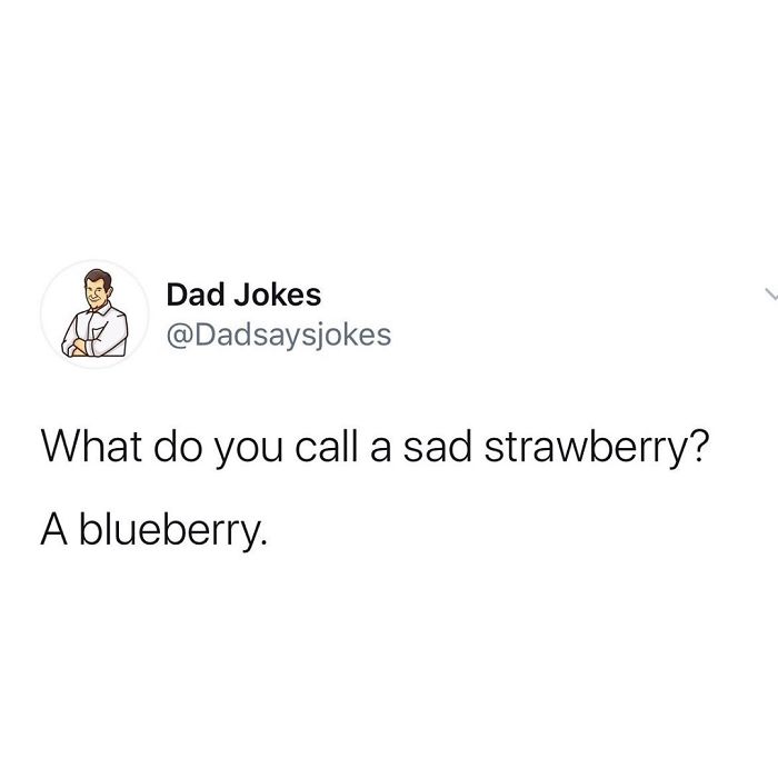 Funny-Dad-Jokes-Puns-Tweets