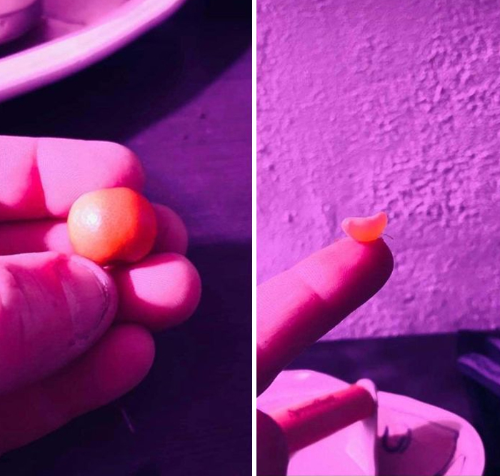 Funny-Failed-Harvest