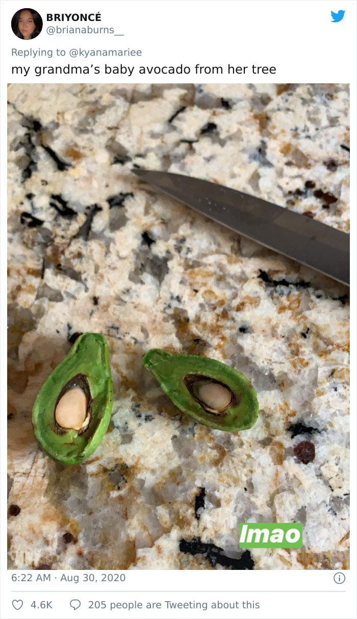 Funny-Failed-Harvest