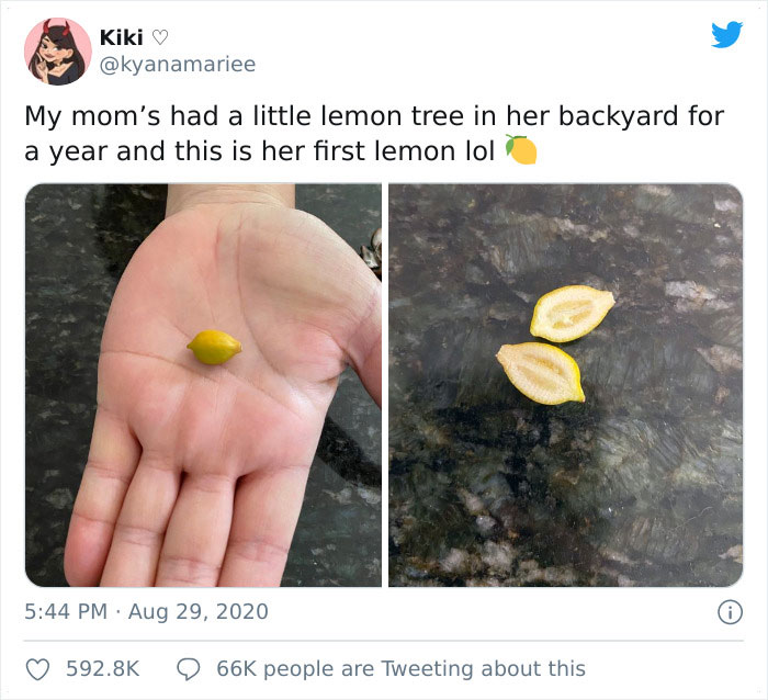 Funny-Failed-Harvest