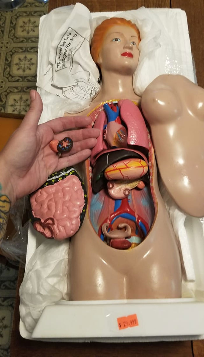 Reason #252 That My Husband Hates When I Thrift. But This Amazing PC Was Not Going To Be Left Behind. Sos Thrift Parksville Bc Canada. This Shop Always Gives Me Something Good