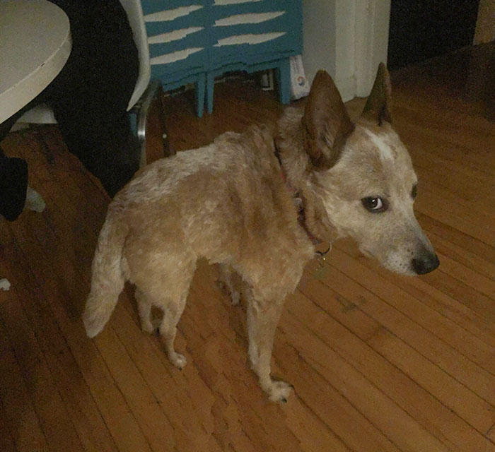 All Credit To My Dad On This One