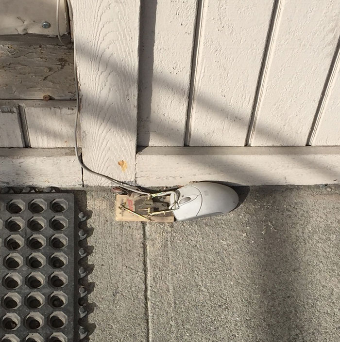 A Local Computer Repair Shop Thinks They're Funny. They're Right