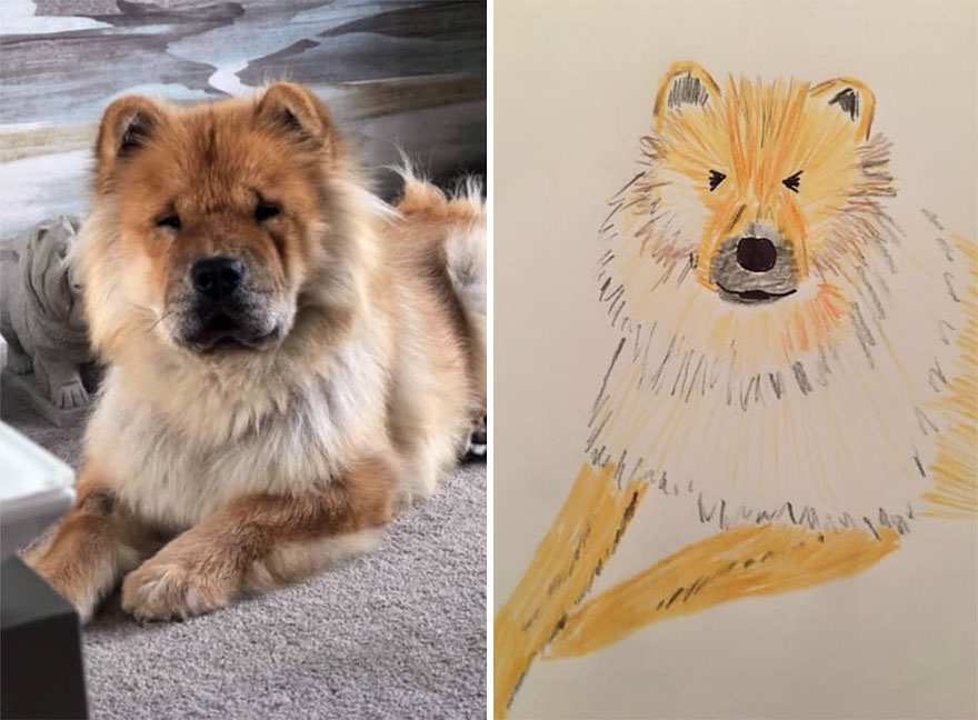 Funny-Pet-Portraits-Charity-Hercule-Van-Wolfwinkle