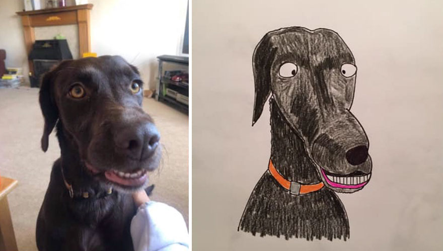 Funny-Pet-Portraits-Charity-Hercule-Van-Wolfwinkle