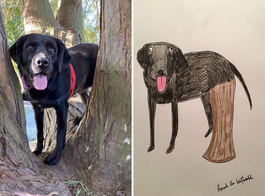 Funny-Pet-Portraits-Charity-Hercule-Van-Wolfwinkle