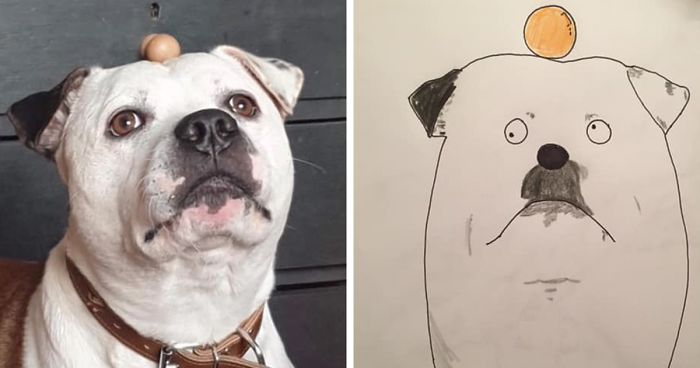 I Have Never Drawn In My Life, But I Am Doing Crappy Pet Portraits To Raise Money For Charity (30 Pics)