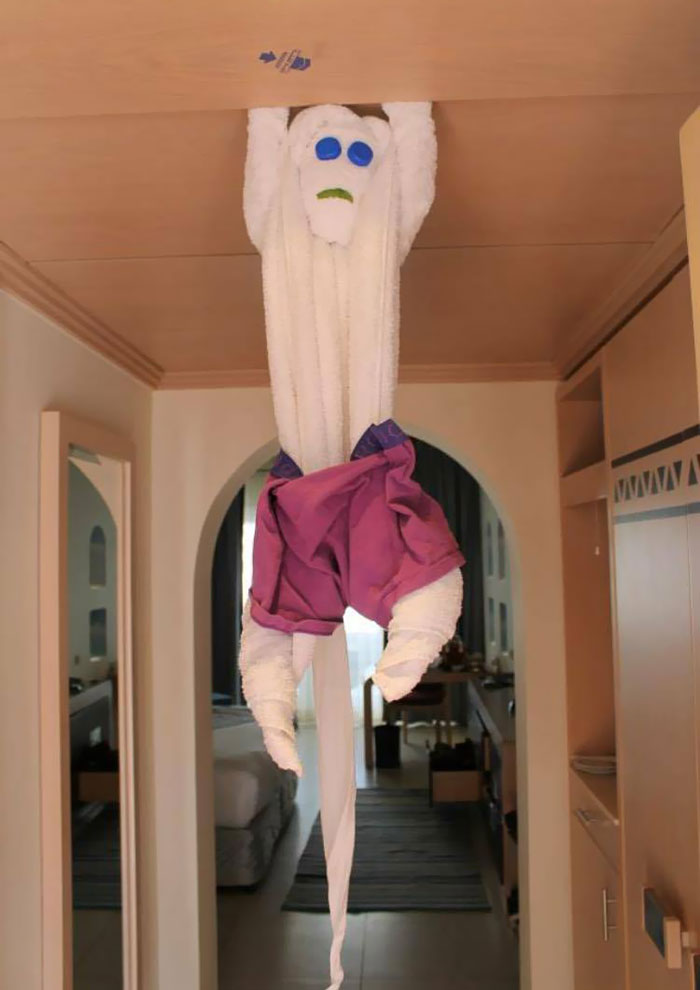 The Cleaner At The Hotel In Egypt, Made This Towel-Monkey, And Dressed It In My Used Boxers