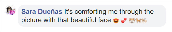 Kerith The Golden Retriever Is Visiting Areas Affected By Fires In California To Comfort Overworked Firefighters