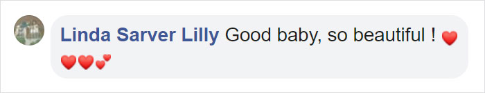 Kerith The Golden Retriever Is Visiting Areas Affected By Fires In California To Comfort Overworked Firefighters